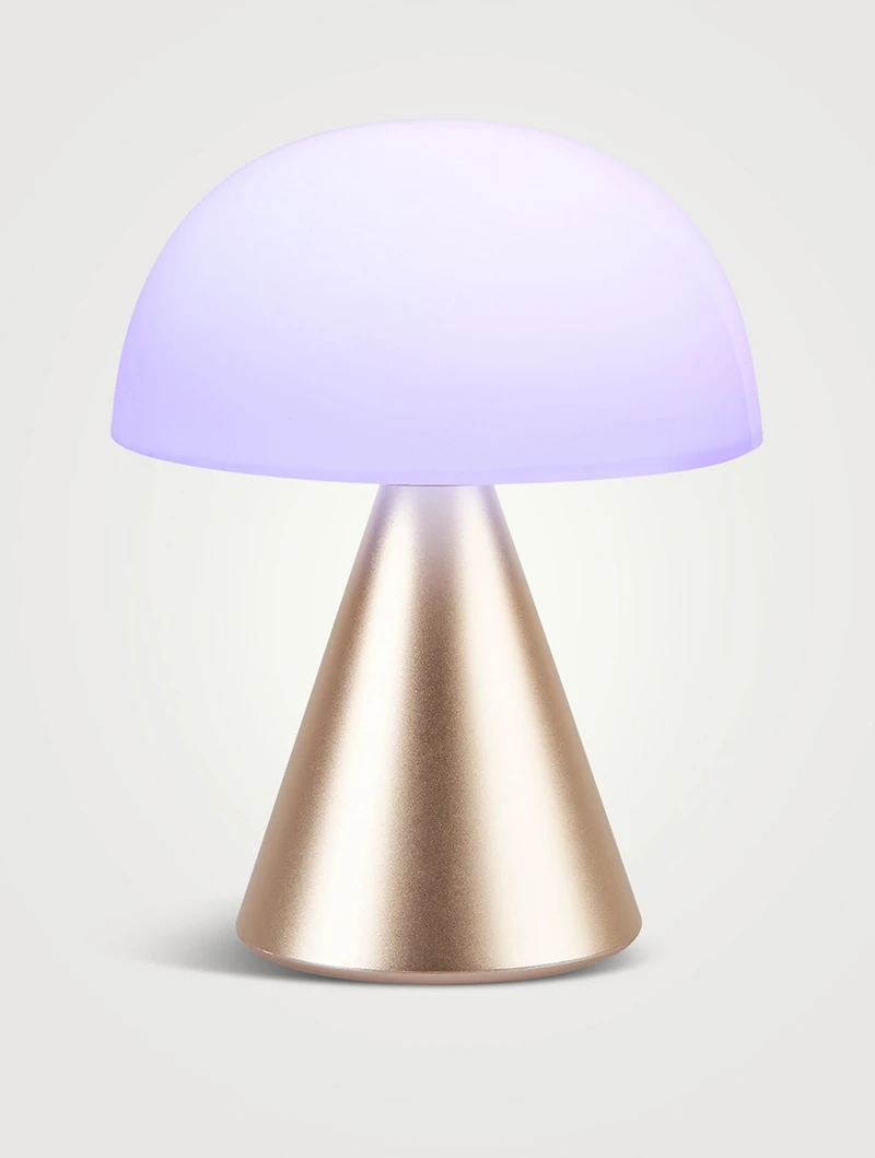 Large MINA Portable LED Lamp
