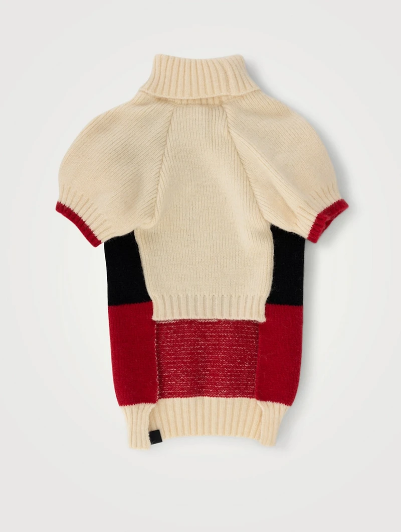 Ski Raglan Dog Sweater