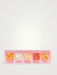 Champagne Flight Five-Piece Candy Bento Box
