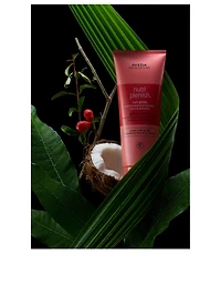 Nutriplenish™ Curl Gelée