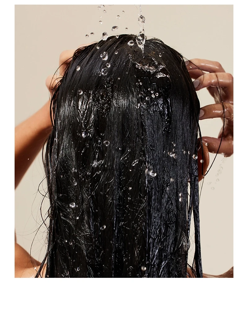Shine Conditioner