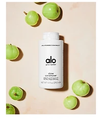 Shine Conditioner