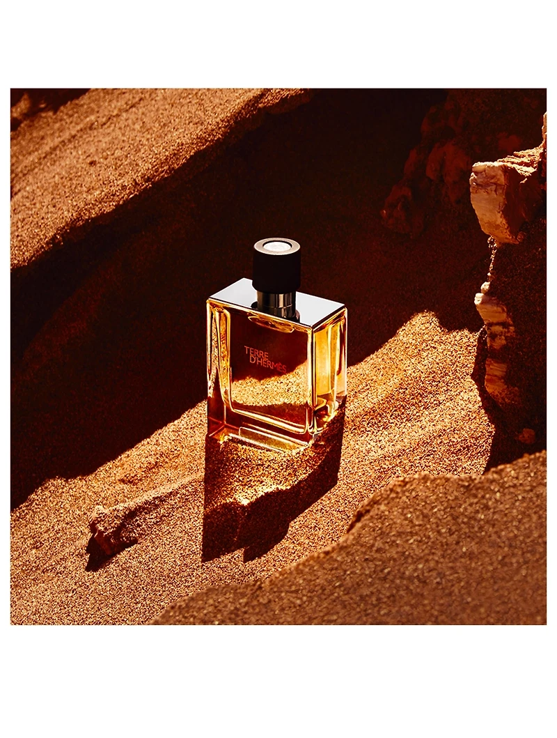 Terre d'Hermès Pure Perfume - H Bottle Limited Edition