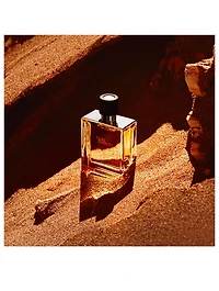 Terre d'Hermès Pure Perfume - H Bottle Limited Edition