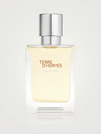 Terre d’Hermès Eau Givrée Eau de Parfum