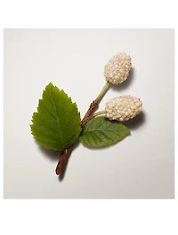 Les Mains Hermès Complete Hand Care