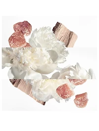 Twilly Eau Ginger de Parfum