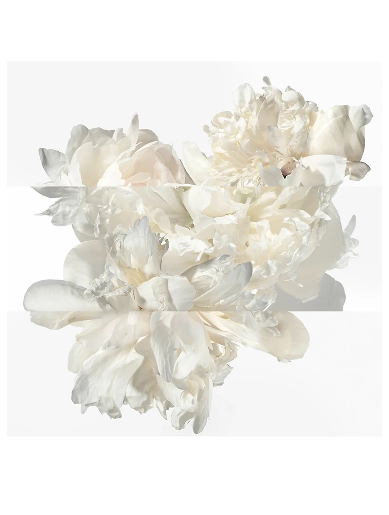 Twilly Eau Ginger de Parfum