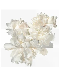 Twilly Eau Ginger de Parfum