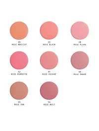 Rose Hermès Silky Blush Powder