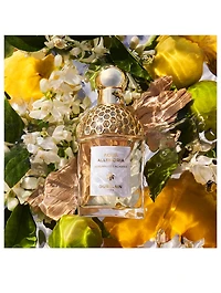 Aqua Allegoria Bergamote Calabria Eau de Toilette
