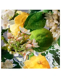 Aqua Allegoria Bergamote Calabria Eau de Toilette