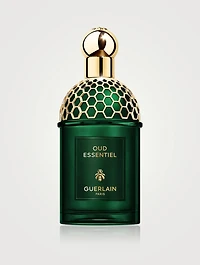 Absolus Allegoria Oud Essentiel Eau de Parfum