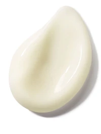 Abeille Royale Mattifying Day Cream