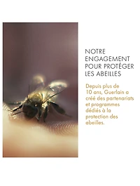 Abeille Royale Mattifying Day Cream