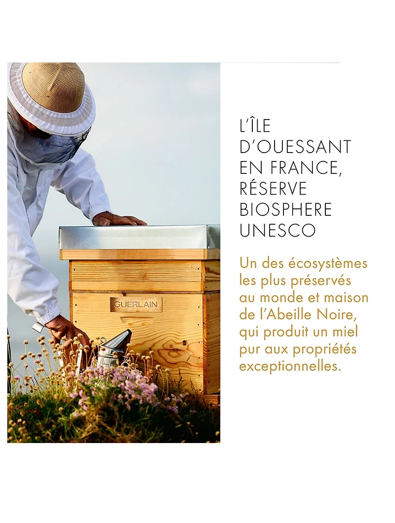 Abeille Royale Eye R Repair Serum - Youth Eye Serum & Eye-lifting effect