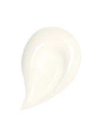 Abeille Royale Honey Treatment Day Cream