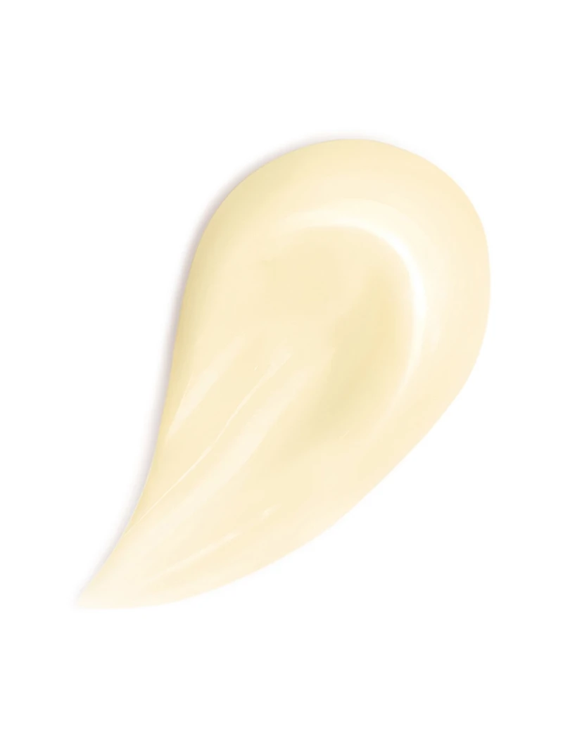 Abeille Royale Honey Treatment Night Cream - The Refill