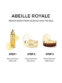Abeille Royale Age-Defying Honey Treatment Day Cream Set