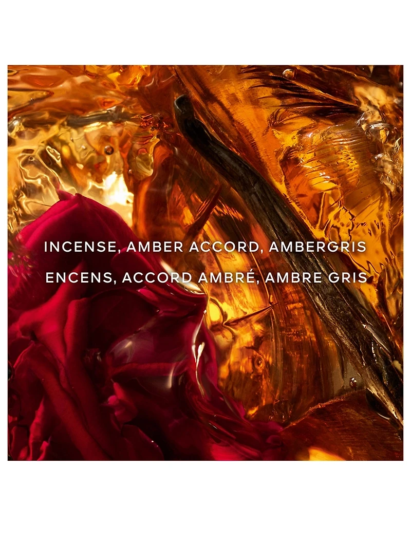 Absolus Allegoria Ambre Samar Eau de Parfum