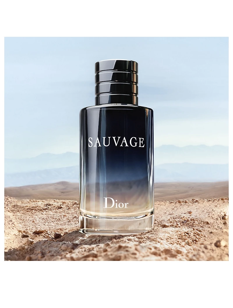 Sauvage Eau de Toilette