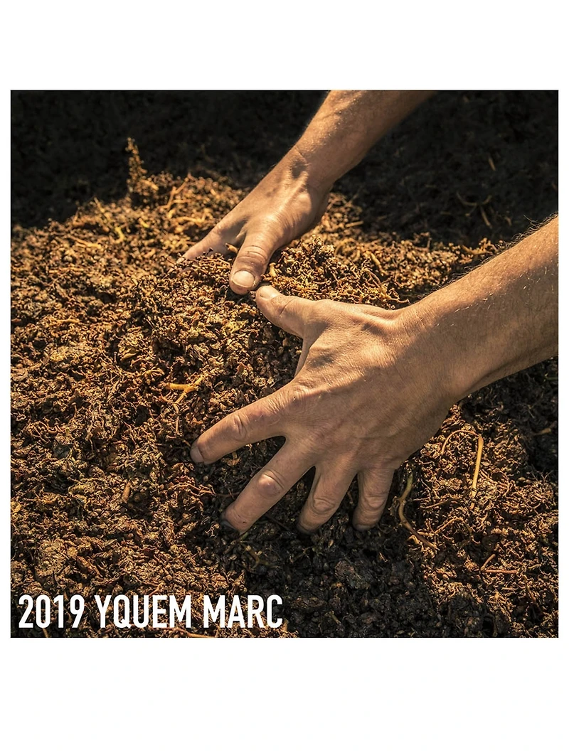 L'Or de Vie La Cure - Vintage 2019
