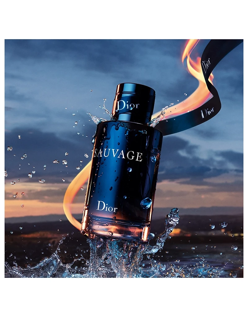 Father's Day Sauvage Parfum Fragrance Set