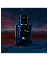 Sauvage Elixir