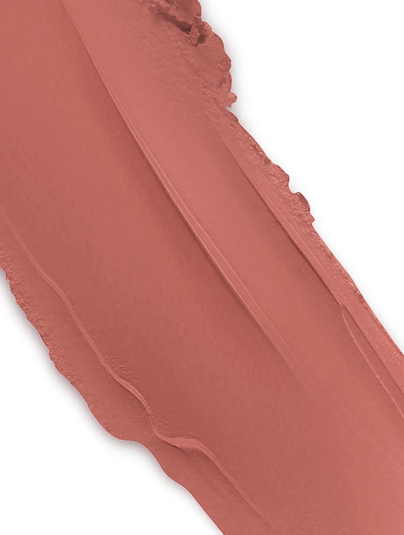 Rouge Dior - Limited Edition Fall Look