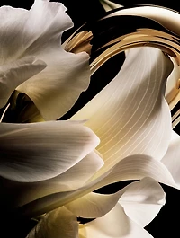 Million Gold For Her Body Lotion