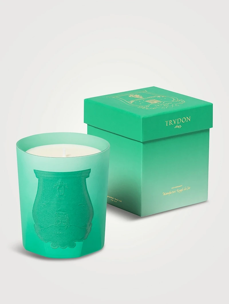 Under the Trees Scented Candle
