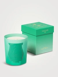 Under the Trees Scented Candle