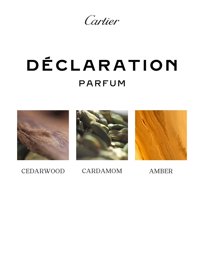 Déclaration Parfum