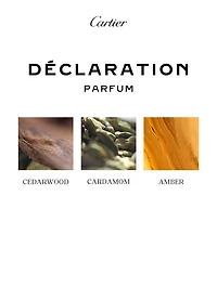 Déclaration Parfum