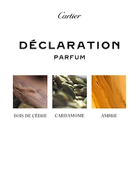 Déclaration Parfum