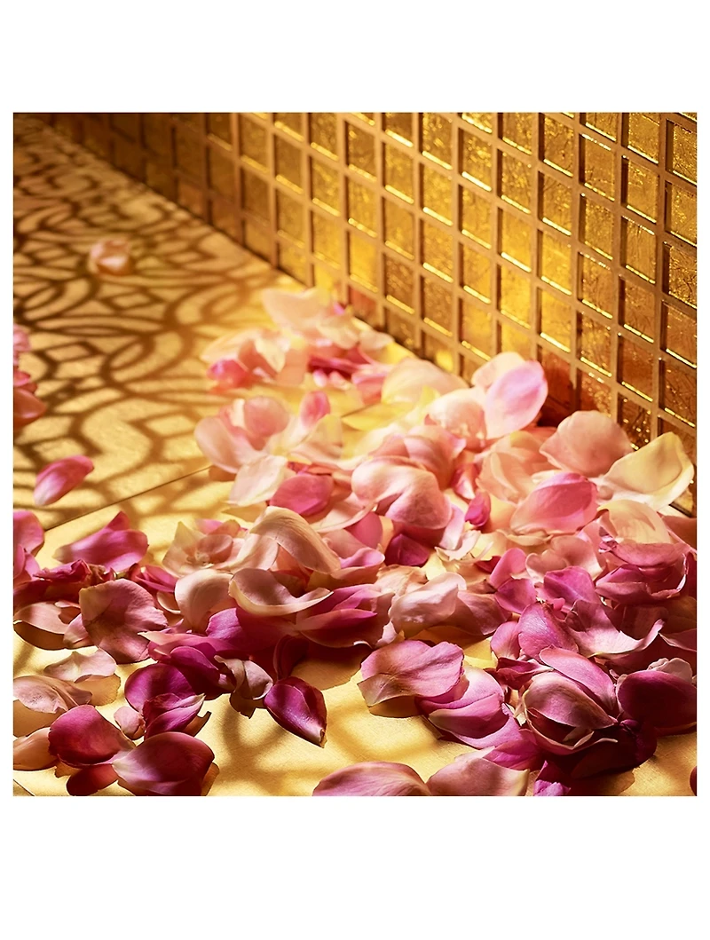 Oud & Rose Les Heures Voyageuses Fragrance