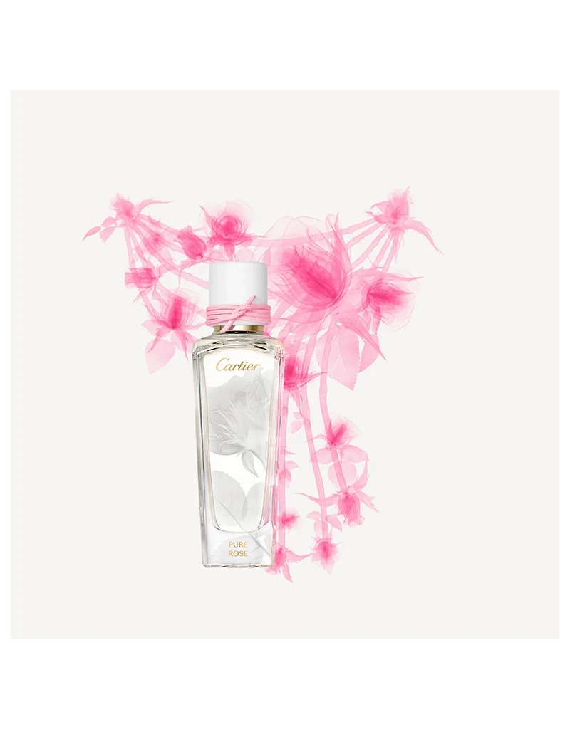 Pure Rose