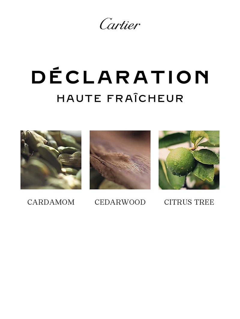 Déclaration Haute Fraîcheur Eau de Toilette