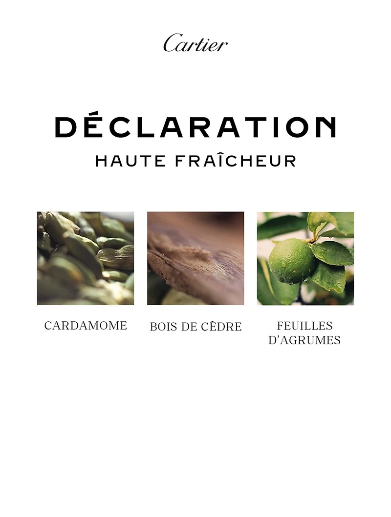 Déclaration Haute Fraîcheur Eau de Toilette