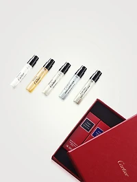 Masculine Discovery Set