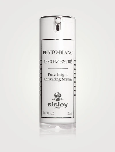 Phyto-Blanc Le Concentré Pure Bright Activating Serum