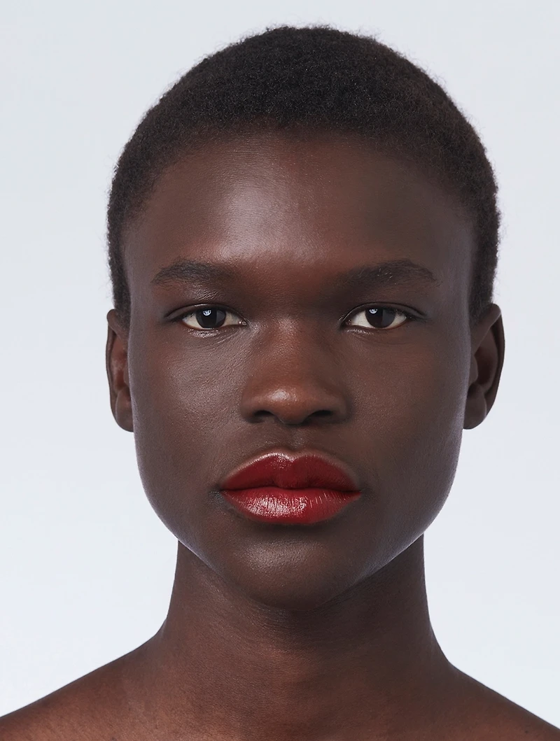 Rouge à Lèvres Satin Lipstick