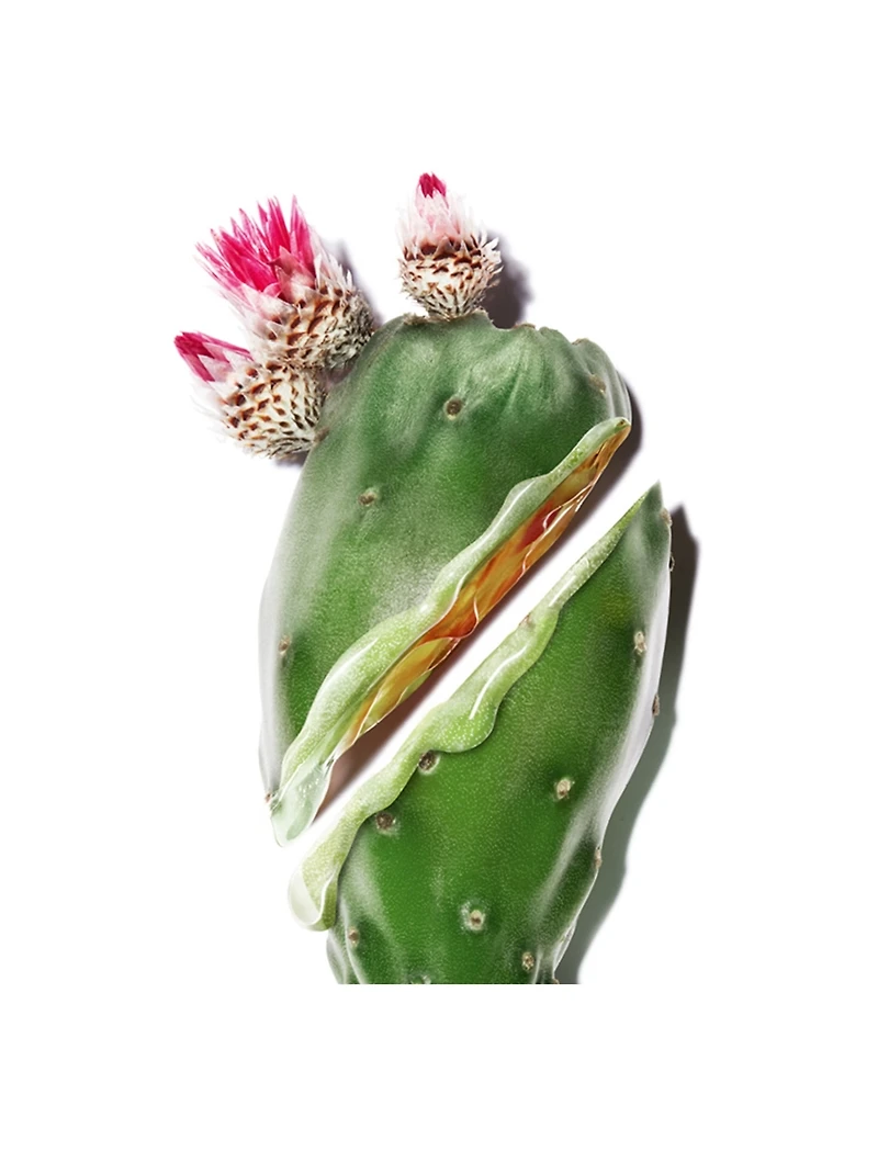 Pure Shots Y Shape Serum - Refill