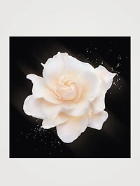 Armani/Privé Gardénia Antigua Eau de Toilette