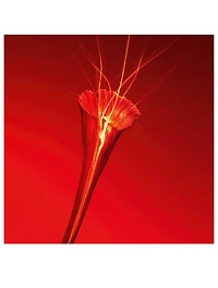 Or Rouge La Lotion