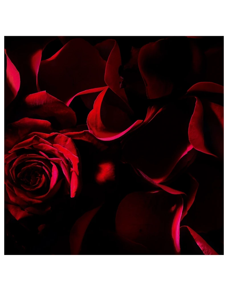 Le Vestiaire Des Parfums Rouge Velours Candle