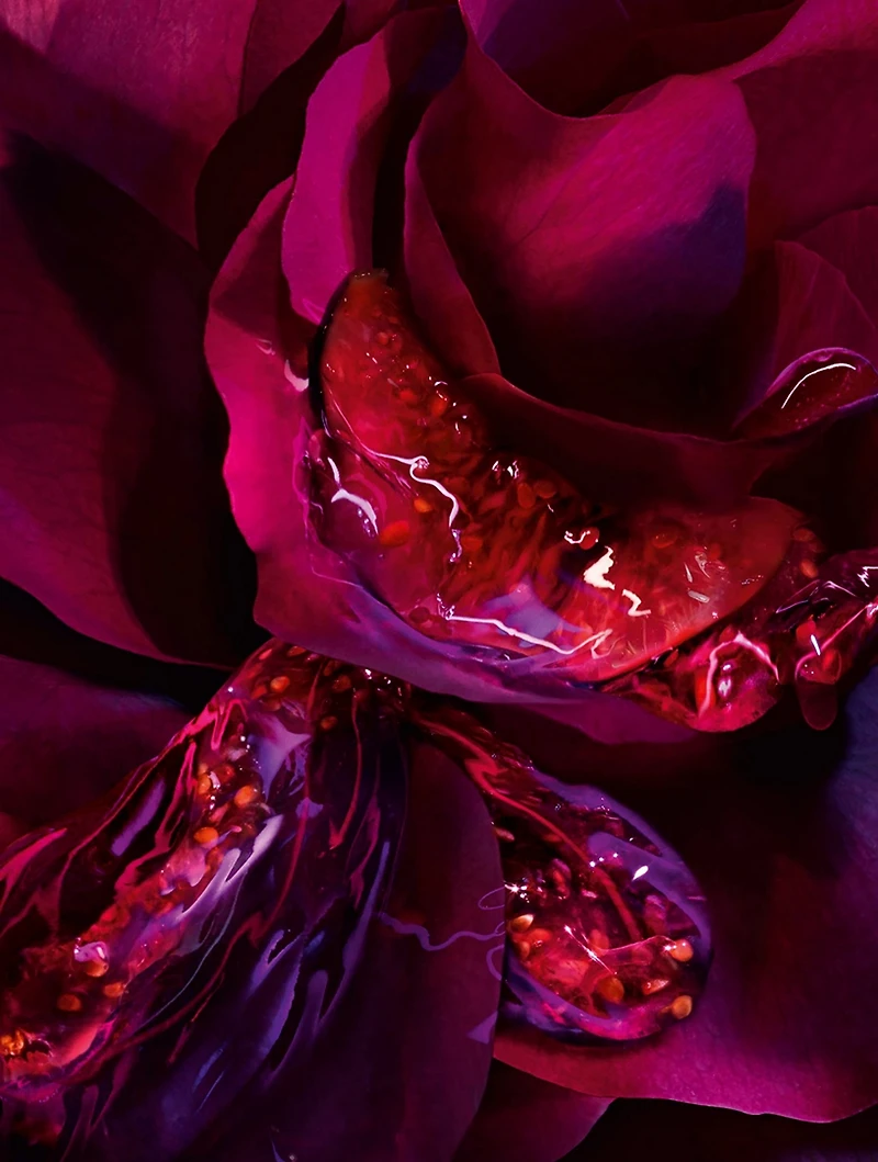 Absolue Les Parfums Forbidden Rose New Eau de Parfum