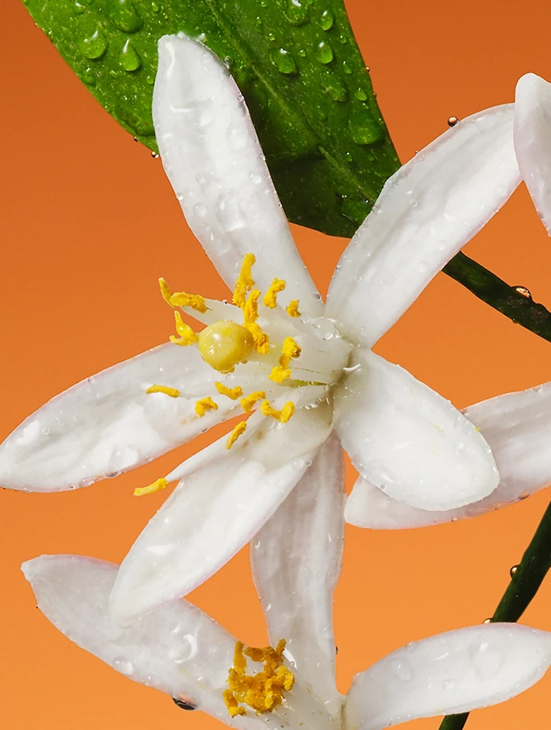 Fiori di Neroli Eau de Parfum