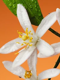 Fiori di Neroli Eau de Parfum