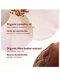 Joli Rouge Velvet - Refill